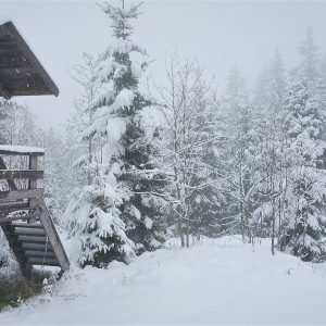 Wald Hütte Schnee